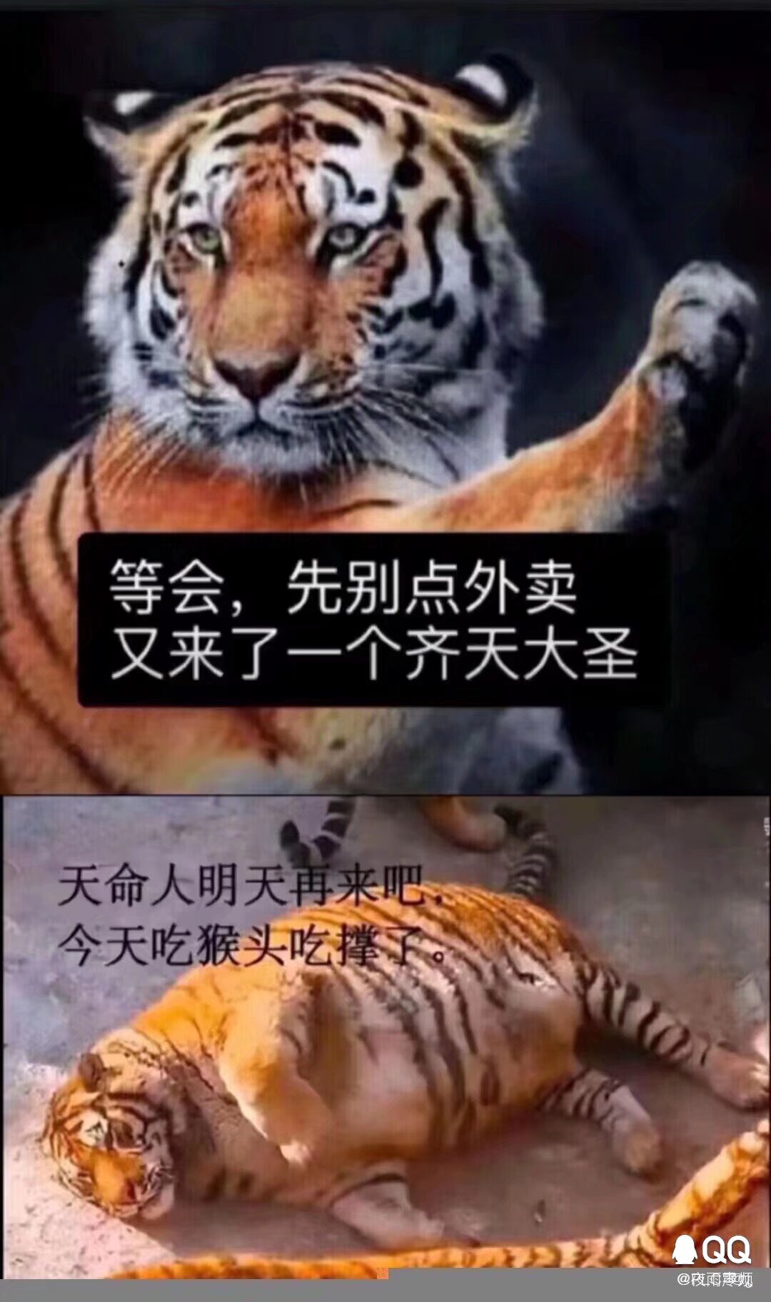 黑神话悟空(乐子)|咪咔